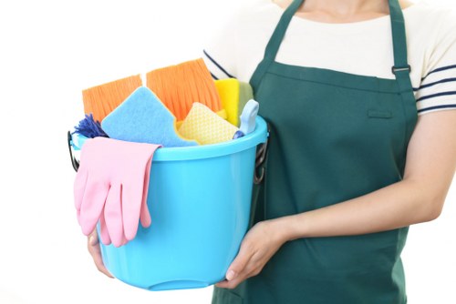 Palmers Green Carpet Cleaners accessibility statement introduction