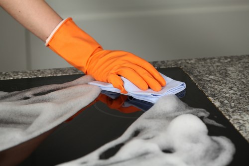 Professional carpet cleaning in a Palmers Green home