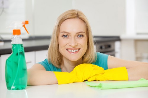 Palmers Green Carpet Cleaners technician preparing equipment safely