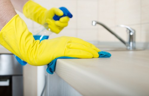 Steam carpet cleaning process in a Palmers Green home
