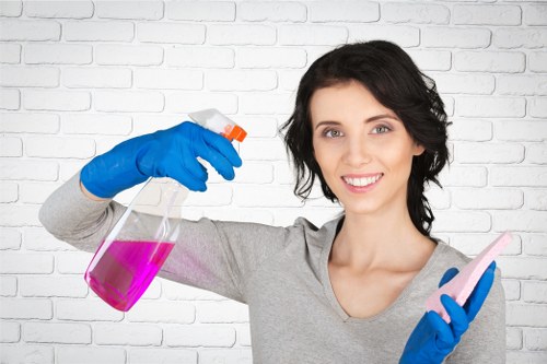 Carpet cleaning equipment used for home interior care