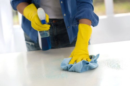 Deep cleaning treatment for a carpet in Palmers Green